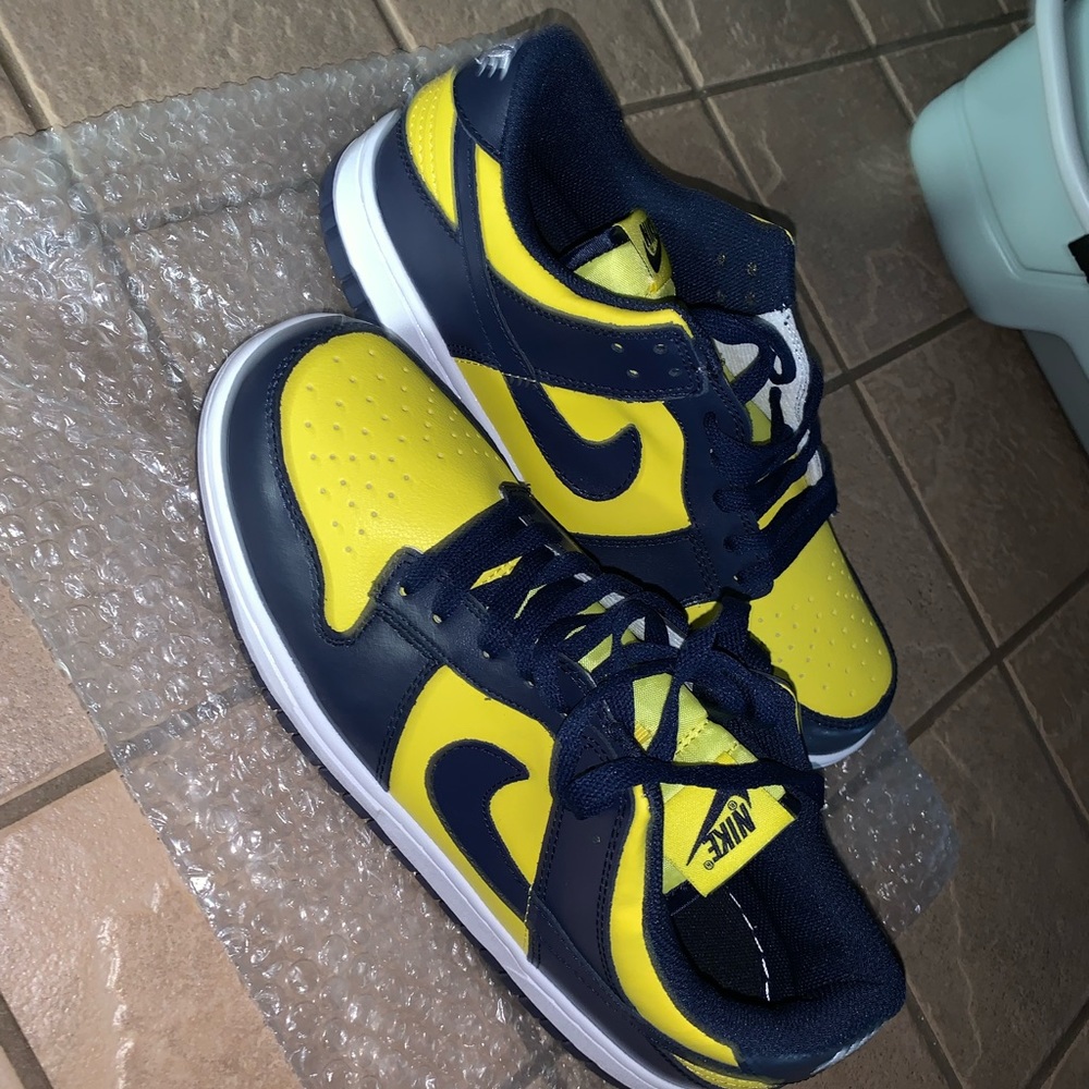 Nike Dunks ( Read Description)